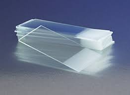 Frosted Microscope Slides